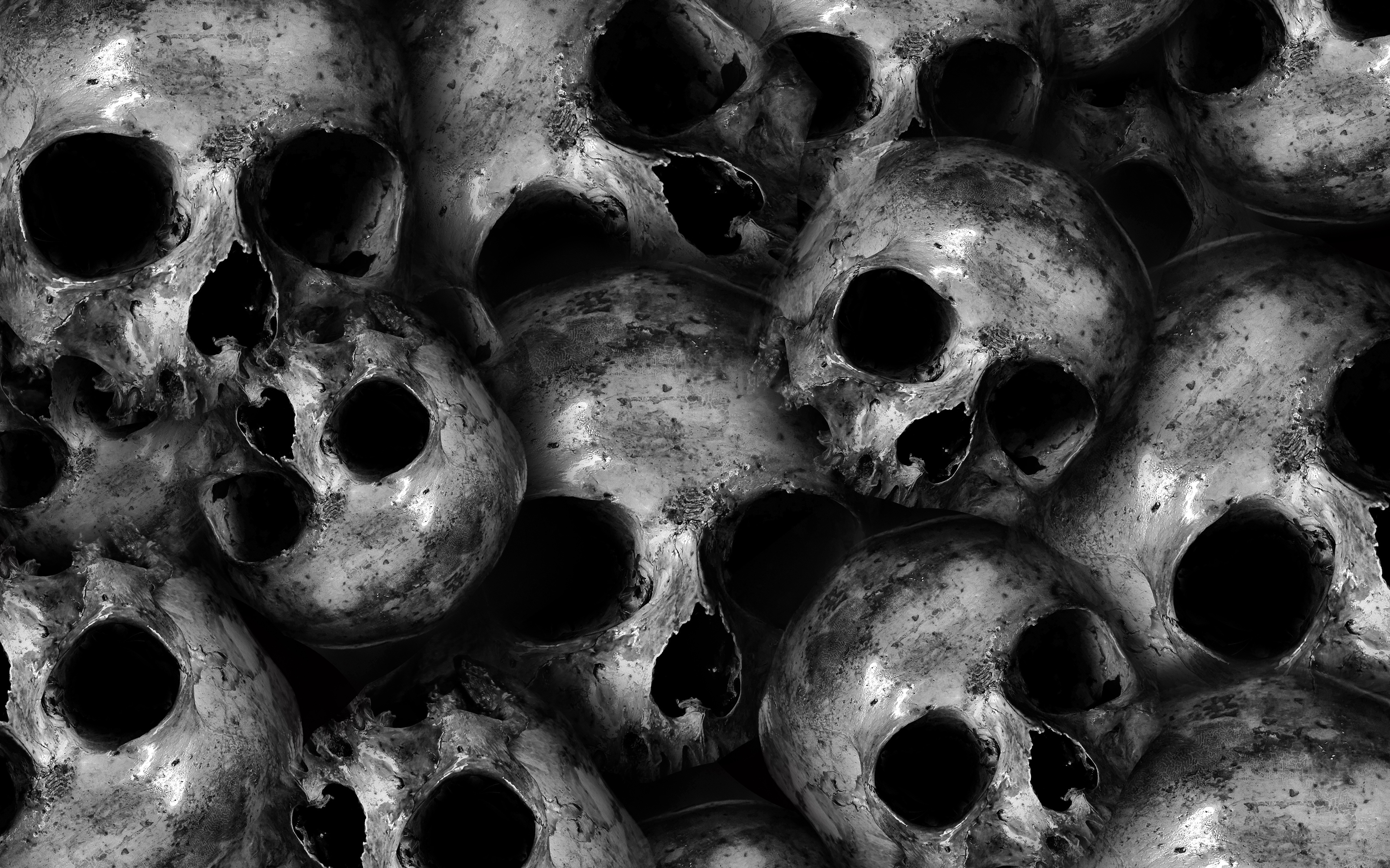 Scary Skulls 4K7639619354